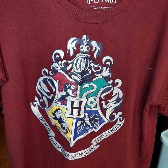 Harry Potter Hogwarts med 8-10 sleepwear or pullover Dracocoat of Arms graphic - Picture 10 of 14